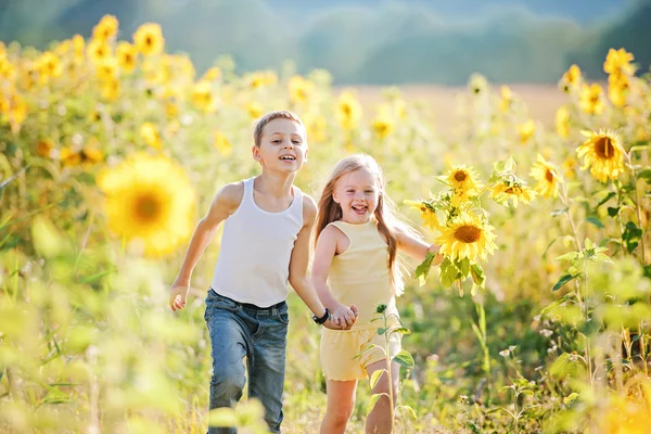 Schattige kinderen in zonnebloemen — Stockfoto