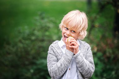 Küçük çocuk elma yiyor.