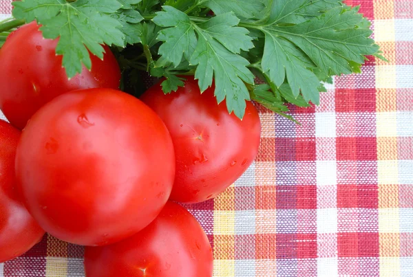 Tomatoes with parsley — Stock Photo, Image