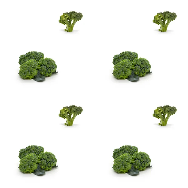Broccoli Cabbage Seamless Pattern White Background — Stock Photo, Image
