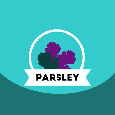 düz vektör simgesi tasarım koleksiyonu mutfak baharat maydanoz