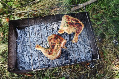 Izgarada iki tavuk budu kızartılmış. Doğada eğlence ve barbekü..