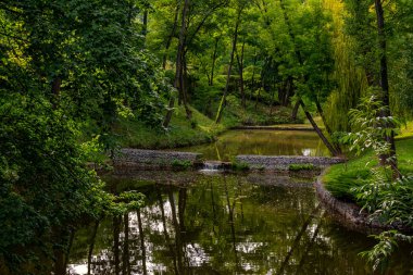 Ağaçlarla çevrili park gölleri. Yürüyüş. Peyzaj.