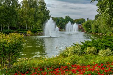 Ağaçlarla çevrili fıskiyeli park gölleri. Yürüyüş. Peyzaj.