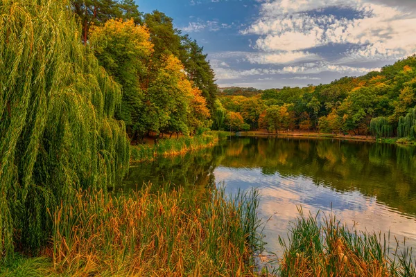 Parkmeren Omgeven Door Bomen Met Prachtige Herfstbladeren Wandelen Landschap — Stockfoto