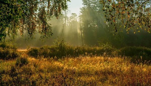 Fin Höstmorgon Med Solstrålar Naturen Landskap — Stockfoto