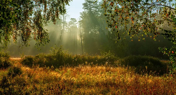 Mooie Herfstochtend Met Zonnestralen Wandel Natuur Landschap — Stockfoto