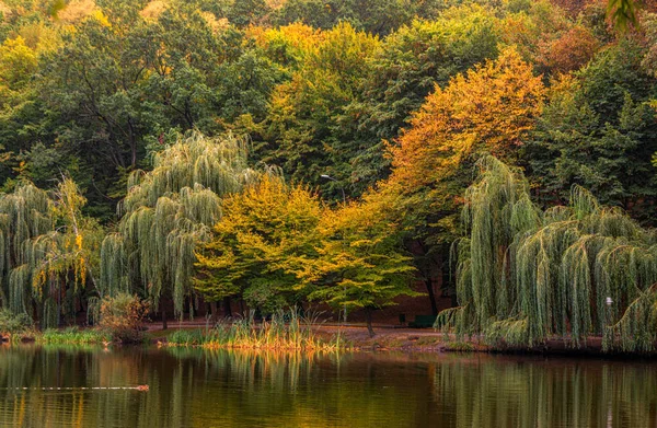Parkseen Umgeben Von Bäumen Mit Schönen Herbstblättern Wandern Landschaft lizenzfreie Stockfotos