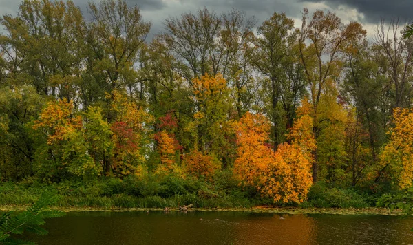 Озеро Окружено Красивыми Осенними Деревьями — стоковое фото
