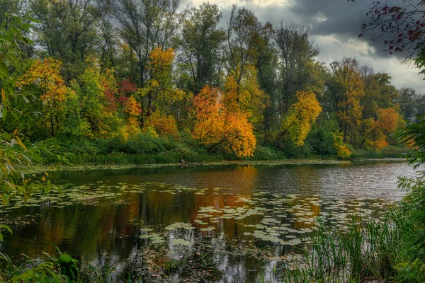 Het Meer Omgeven Door Prachtige Herfstbomen — Stockfoto