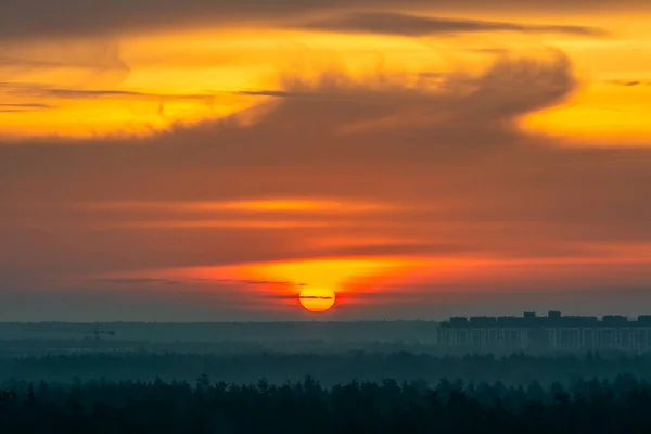 Manhã Cedo Belo Nascer Sol Sobre Floresta — Fotografia de Stock