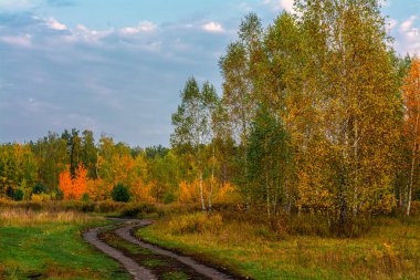 Çayırlar boyunca ve orman boyunca uzanan manzaralı bir yol. Kırsal kesimde. Yürüyüş.