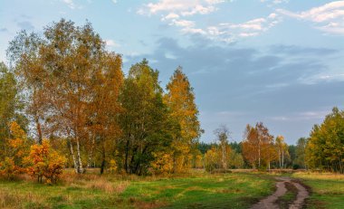 Çayırlar boyunca ve orman boyunca uzanan manzaralı bir yol. Kırsal kesimde. Yürüyüş.