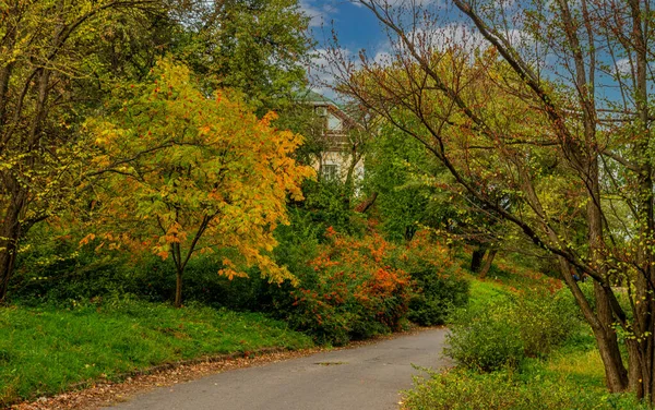 Herbstpark Bäume Kleiden Sich Bunte Herbst Outfits Eine Schöne Zeit — Stockfoto