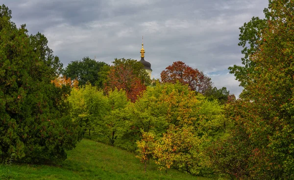 Отом Парк Деревья Одеваются Яркие Осенние Наряды Прекрасное Время Года — стоковое фото
