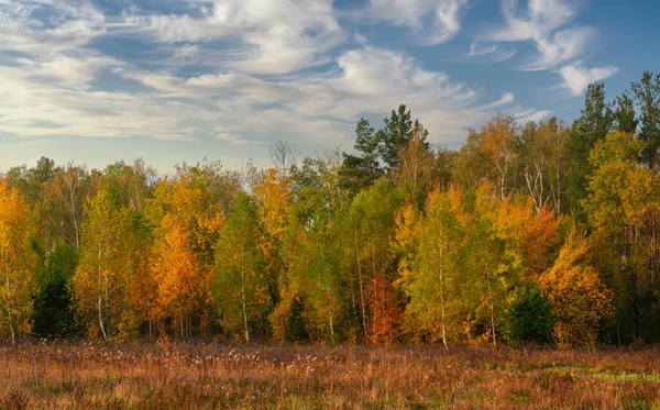 Beginning Autumn Trees Painted Bright Autumn Colors Beauty Nature Hiking — Stock Photo, Image