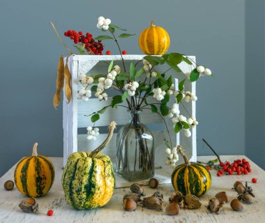 Beyaz kutular, balkabakları, fındıklar ve böğürtlenlerle dolu bir hayat. Eski.