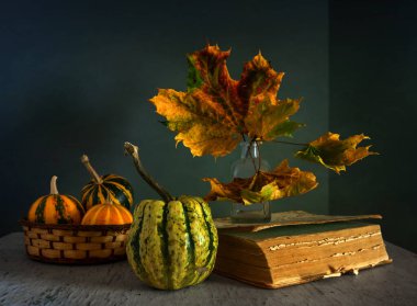 Süslü balkabakları, sonbahar yaprakları ve bir kitapla sakin bir hayat. Eski.