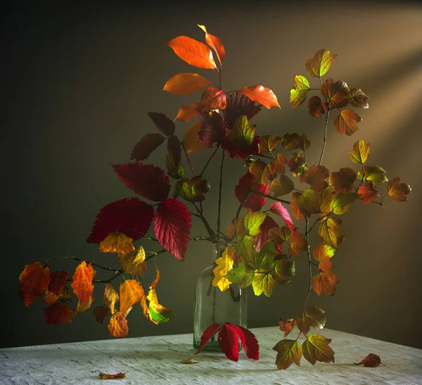 Bouquet Autumn Leaves Autumn Colors — Stock Photo, Image