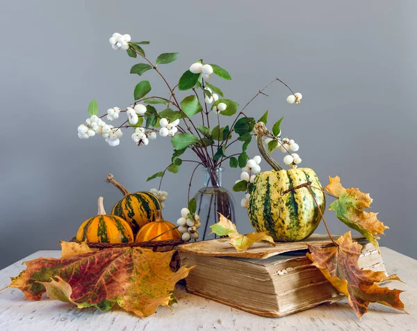 Stillleben Mit Zierkürbissen Schneebeeren Herbstblättern Und Einem Buch Jahrgang — Stockfoto