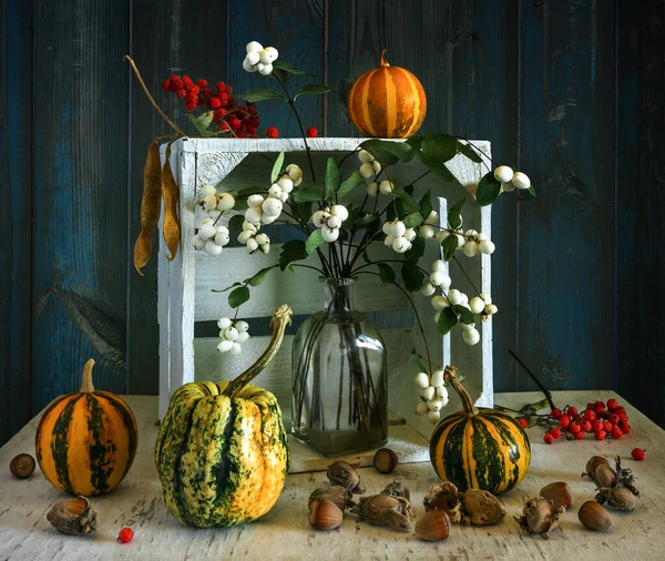 Nature Morte Avec Des Boîtes Blanches Des Citrouilles Des Noix — Photo