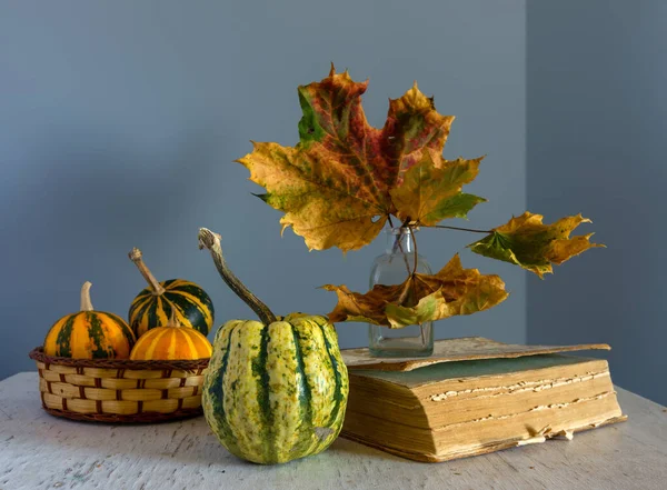 Still Life Decorative Pumpkins Autumn Leaves Book Vintage — Stock Photo, Image