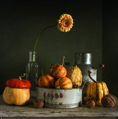 Olgun dekoratif balkabakları, cam bir şişede gerbera çiçeği ve tahta bir masada fındıklar. Eski.