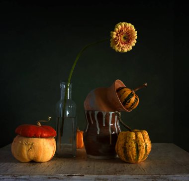 Olgun dekoratif balkabakları, cam şişede gerbera çiçeği ve ahşap masada seramik sürahiler. Eski.
