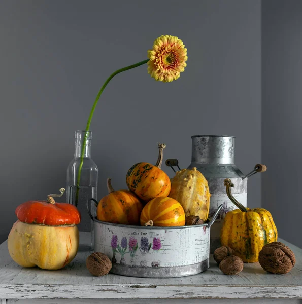 Reife Zierkürbisse Gerbera Blüten Einer Glasflasche Und Nüsse Auf Einem — Stockfoto