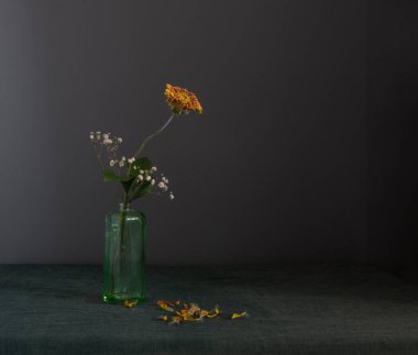 Düşen yapraklı küçük bir buket kurumuş çiçek. Minimalizm.