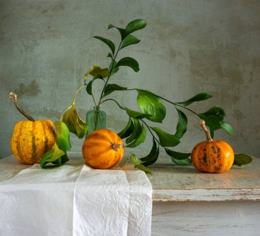 Olgun dekoratif balkabaklarıyla ve yeşil yapraklı dallarla dolu bir hayat. Eski.