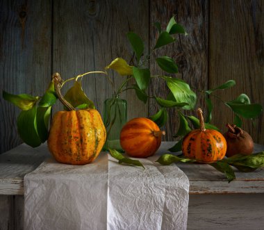 Olgun dekoratif balkabaklarıyla ve yeşil yapraklı dallarla dolu bir hayat. Eski.