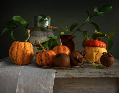 Olgun dekoratif balkabaklarıyla ve yeşil yapraklı dallarla dolu bir hayat. Eski.