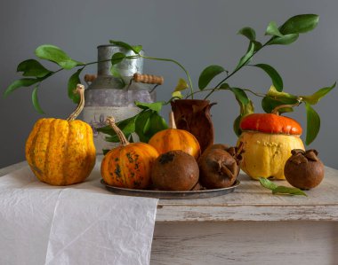 Olgun dekoratif balkabaklarıyla ve yeşil yapraklı dallarla dolu bir hayat. Eski.
