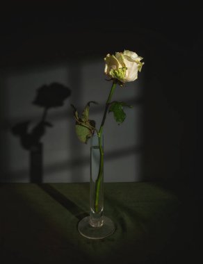 Pencereden süzülen beyaz bir gülle sakin bir hayat. Minimalizm. Eski.