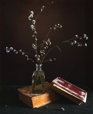 Çiçek açan söğüt dalları ve karanlık arka planda eski kitaplarla dolu bir hayat. Eski.