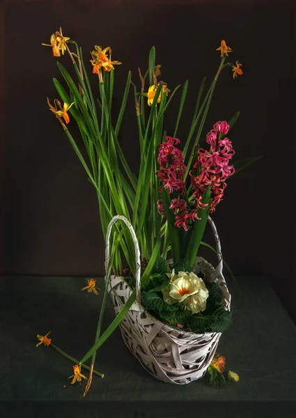 Blumenarrangement Aus Narzissen Hyazinthen Und Primeln Einem Weidenkorb Jahrgang — Stockfoto