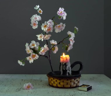 Sakura çiçekleri ve yanan mumlarla dolu bir hayat. Eski model. Retro.