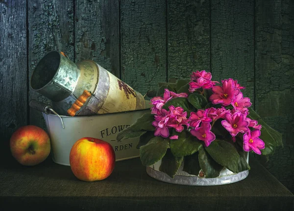 Blühende Veilchen Auf Einem Tisch Mit Reifen Äpfeln Und Utensilien — Stockfoto