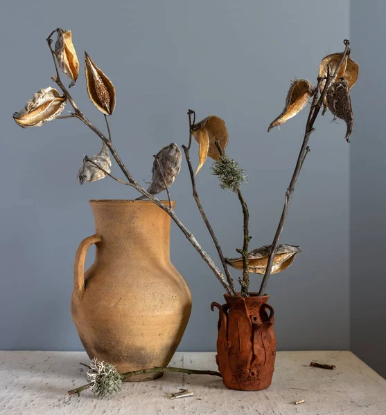 Old Ceramic Jug Small Vase Dried Branches Table Vintage Retro — Stock Photo, Image