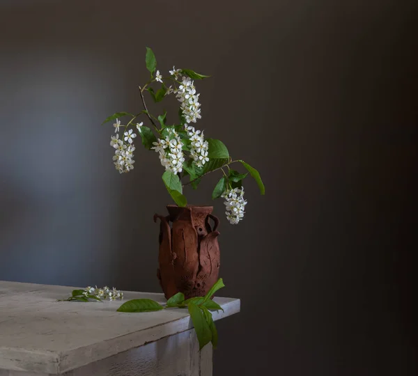 Ramo Cerezo Pájaro Flor Jarrón Cerámica Sobre Fondo Oscuro Minimalismo — Foto de Stock