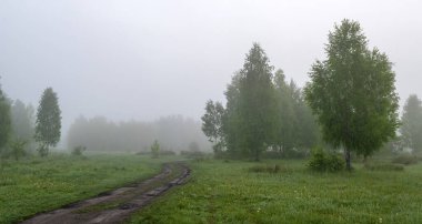 Doğada bulutlu bir sabah. Ağaçlara, çayırlara sis indi ve ufku sakladı..