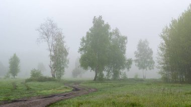 Doğada bulutlu bir sabah. Ağaçlara, çayırlara sis indi ve ufku sakladı..