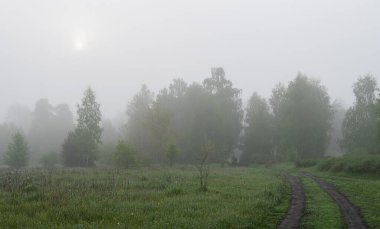 Doğada bulutlu bir sabah. Ağaçlara, çayırlara sis indi ve ufku sakladı..