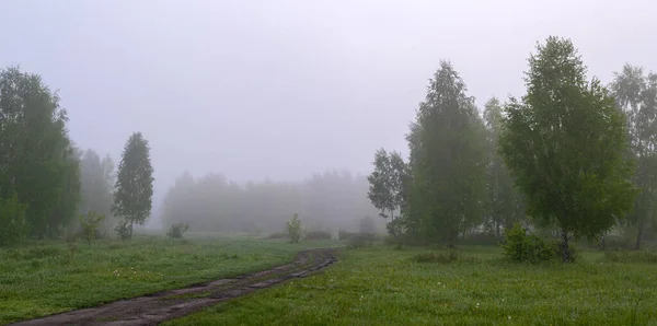 Cloudy morning in nature. Mist descended on the trees, meadow and hid the horizon.