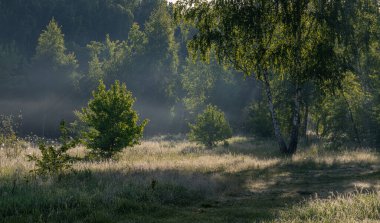 Yol çayırlardan ve ormanlık alanlardan geçiyor. Doğa resmedilmeye değer. Turizm.