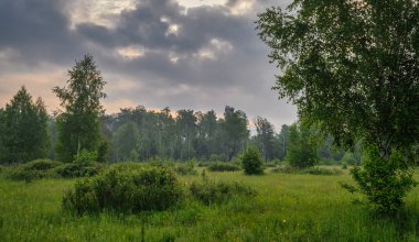 Yol çayırlardan ve ormanlık alanlardan geçiyor. Doğa resmedilmeye değer. Turizm.