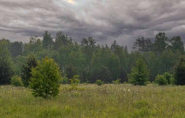 Yol çayırlardan ve ormanlık alanlardan geçiyor. Doğa resmedilmeye değer. Turizm.