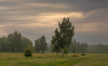 Yol çayırlardan ve ormanlık alanlardan geçiyor. Doğa resmedilmeye değer. Turizm.