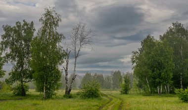 Yol çayırlardan ve ormanlık alanlardan geçiyor. Doğa resmedilmeye değer. Turizm.